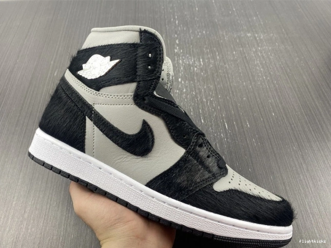 DZ2523-001 Twist 1 High 2.0 OG Air WMNS Jordan 1110